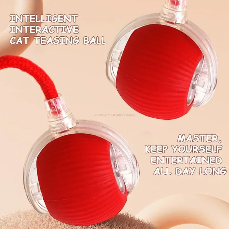 The cats played with the rechargeable rolling ball.