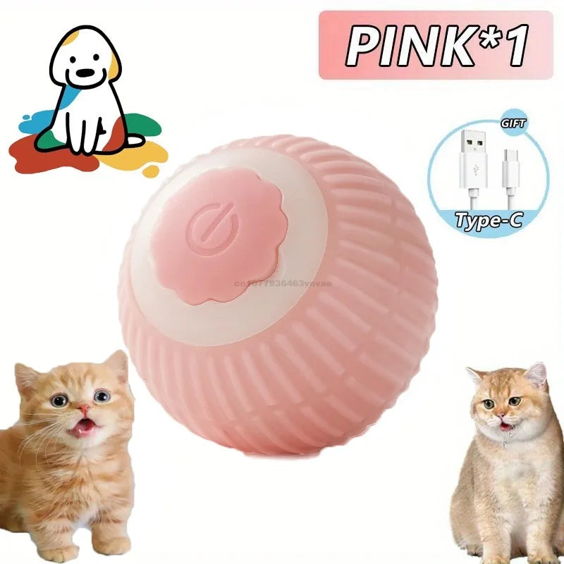 The cats played with the rechargeable rolling ball.