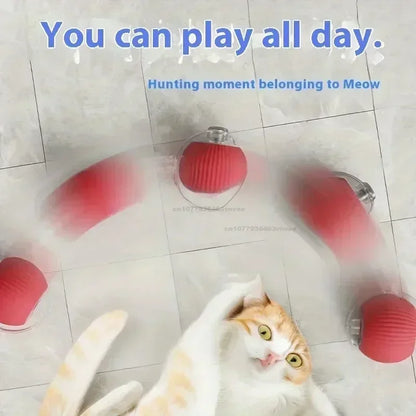 The cats played with the rechargeable rolling ball.