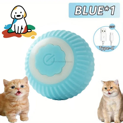 The cats played with the rechargeable rolling ball.