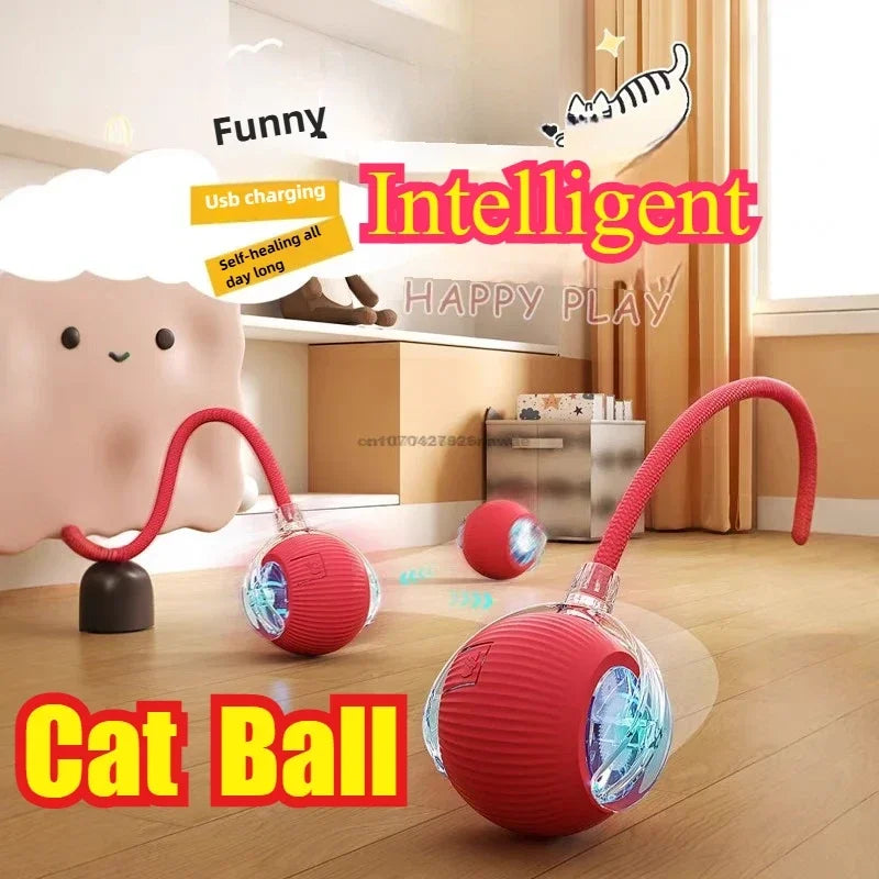 The cats played with the rechargeable rolling ball.