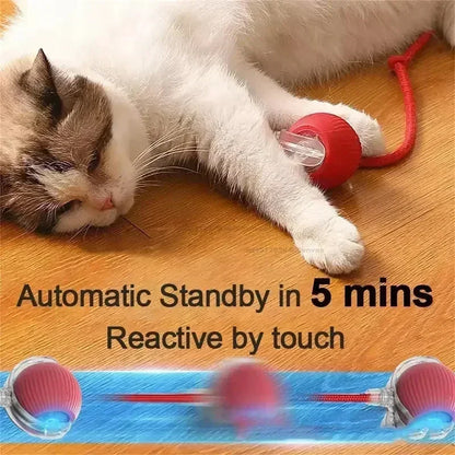 The cats played with the rechargeable rolling ball.