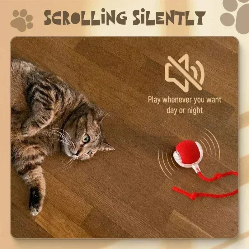 The cats played with the rechargeable rolling ball.