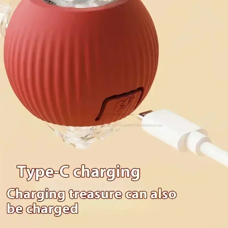 The cats played with the rechargeable rolling ball.
