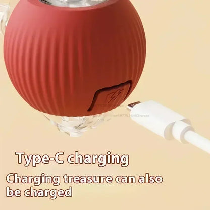 The cats played with the rechargeable rolling ball.
